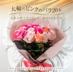 【ふるさと納税】バラ 花束 大輪 ピンク 20本 (40cm) ピンクミックス ブーケ 薔薇 ローズ 生花 観賞用 プレゼント 花 ギフト 誕生日 植物 フラワー 土壌栽培 産地直送 田原市 人気 切り花 切花 10000円 1万円･･･ 画像1