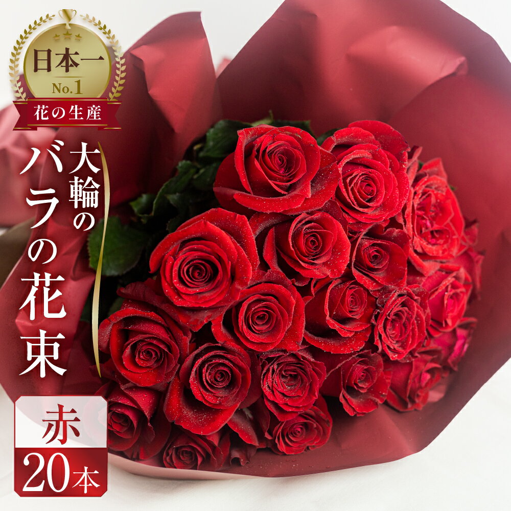 【ふるさと納税】バラ 花束 大輪 赤 20本 (40cm) ブーケ 薔薇 ローズ 生花 日時指定可 観賞用 母の日 プレゼント 花 ギフト 誕生日 植物 フラワー 母の日 遅れてごめんね 敬老の日 バラの花束 土壌栽培 産地直送 田原市 人気 切り花 切花 10000円 1万円