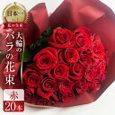 【ふるさと納税】バラ 花束 大輪 赤 20本 (40cm) ブーケ 薔薇 ローズ 生花 観賞用 プレゼント 花 ギフト 誕生日 植物 フラワー 土壌栽培 産地直送 田原市 人気 切り花 切花 10000円 1万円･･･