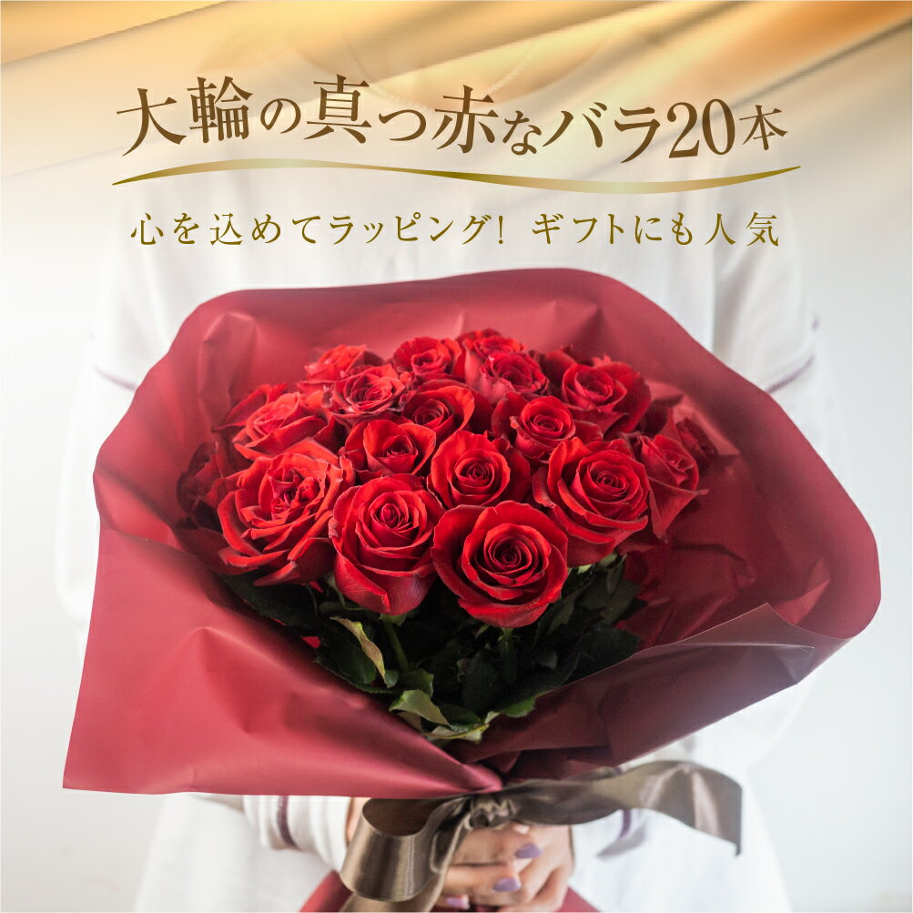 【ふるさと納税】【母の日】 バラ 花束 大輪 赤 20本 (40cm) ブーケ 薔薇 ローズ 生花 日時指定可 観賞用 母の日 プレゼント 花 ギフト 誕生日 植物 フラワー 母の日 遅れてごめんね 敬老の日 バラの花束 土壌栽培 産地直送 田原市 人気 切り花 切花 10000円 1万円