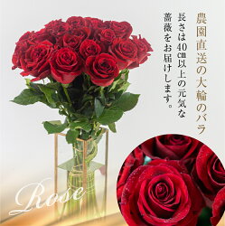 【ふるさと納税】バラ 花束 大輪 赤 20本 (40cm) ブーケ 薔薇 ローズ 生花 観賞用 プレゼント 花 ギフト 誕生日 植物 フラワー 土壌栽培 産地直送 田原市 人気 切り花 切花 10000円 1万円･･･ 画像2