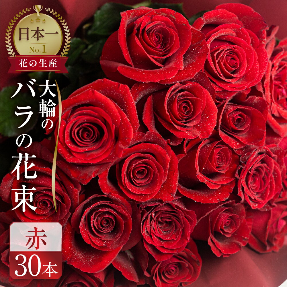 【ふるさと納税】バラ 花束 大輪 赤 30本 (40cm) ブーケ 薔薇 ローズ 生花 日時指定可 観賞用 プレゼント 花 ギフト 母の日 遅れてごめんね 誕生日 植物 フラワー 土壌栽培 産地直送 田原市 人気 切り花 切花 15000円