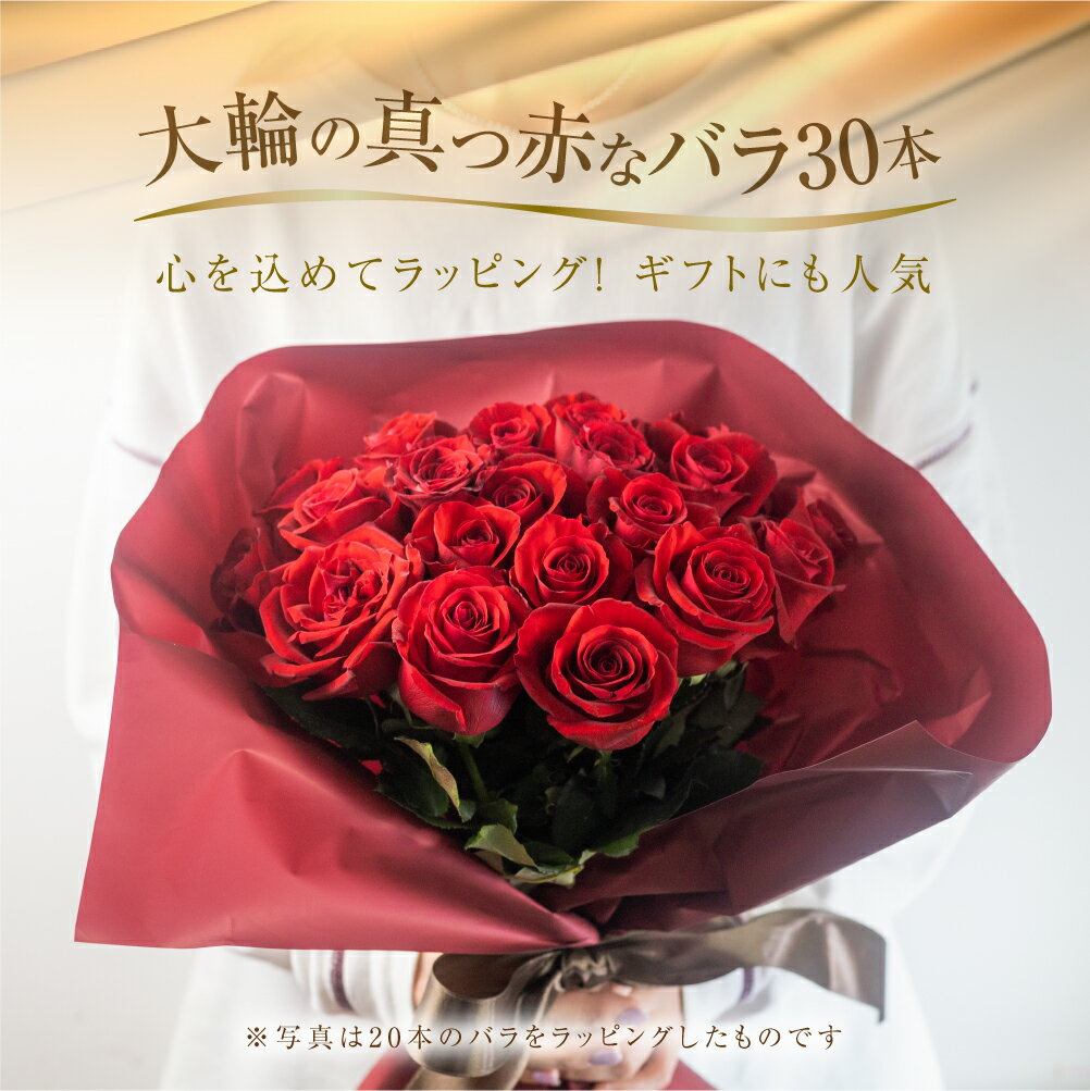 愛知県田原市の画像2