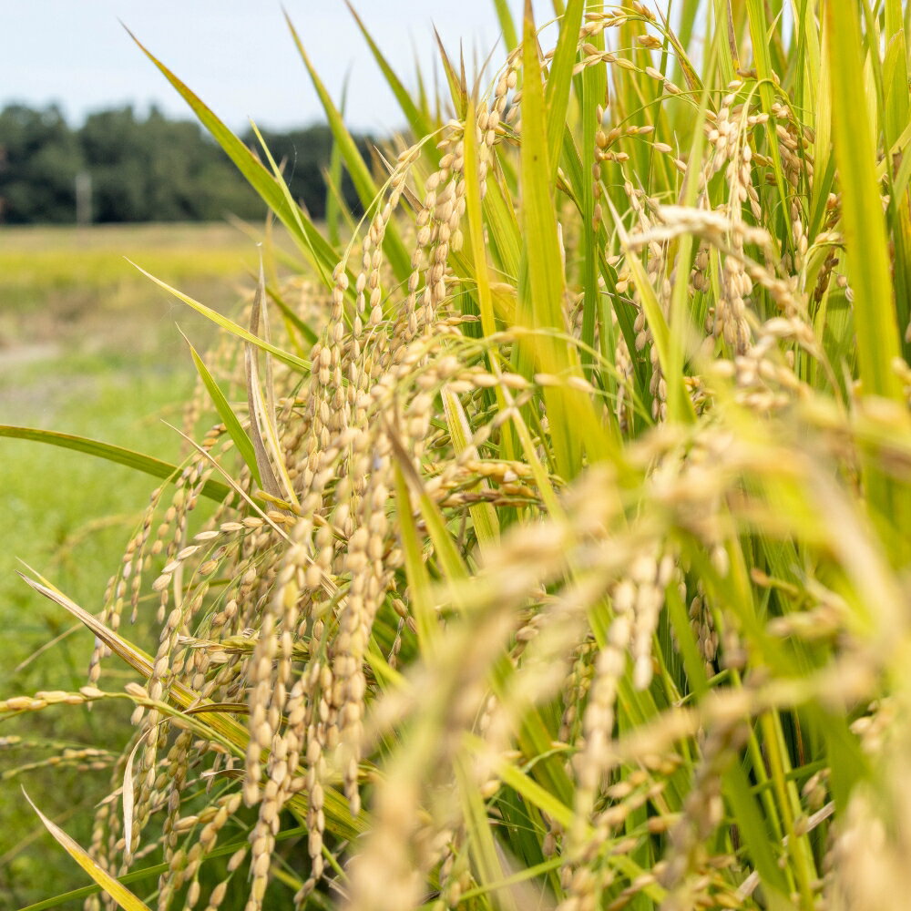 愛知県田原市の画像3