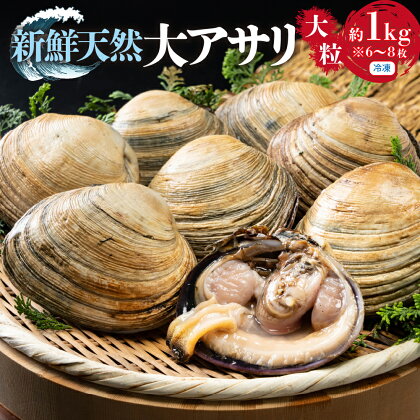 秀品・天然大アサリ 約1kg 希少な大粒サイズ秀品 天然大アサリ 希少 大粒サイズ 特製だし醤油付き CAS冷凍 海鮮バーベキュー BBQ 三河湾産 天然 大アサリ あさり 国産 アサリ 愛知県 田原市 新鮮 砂抜き 海鮮 魚介類 魚介 貝 冷凍 人気 10000円 一万円 1万円