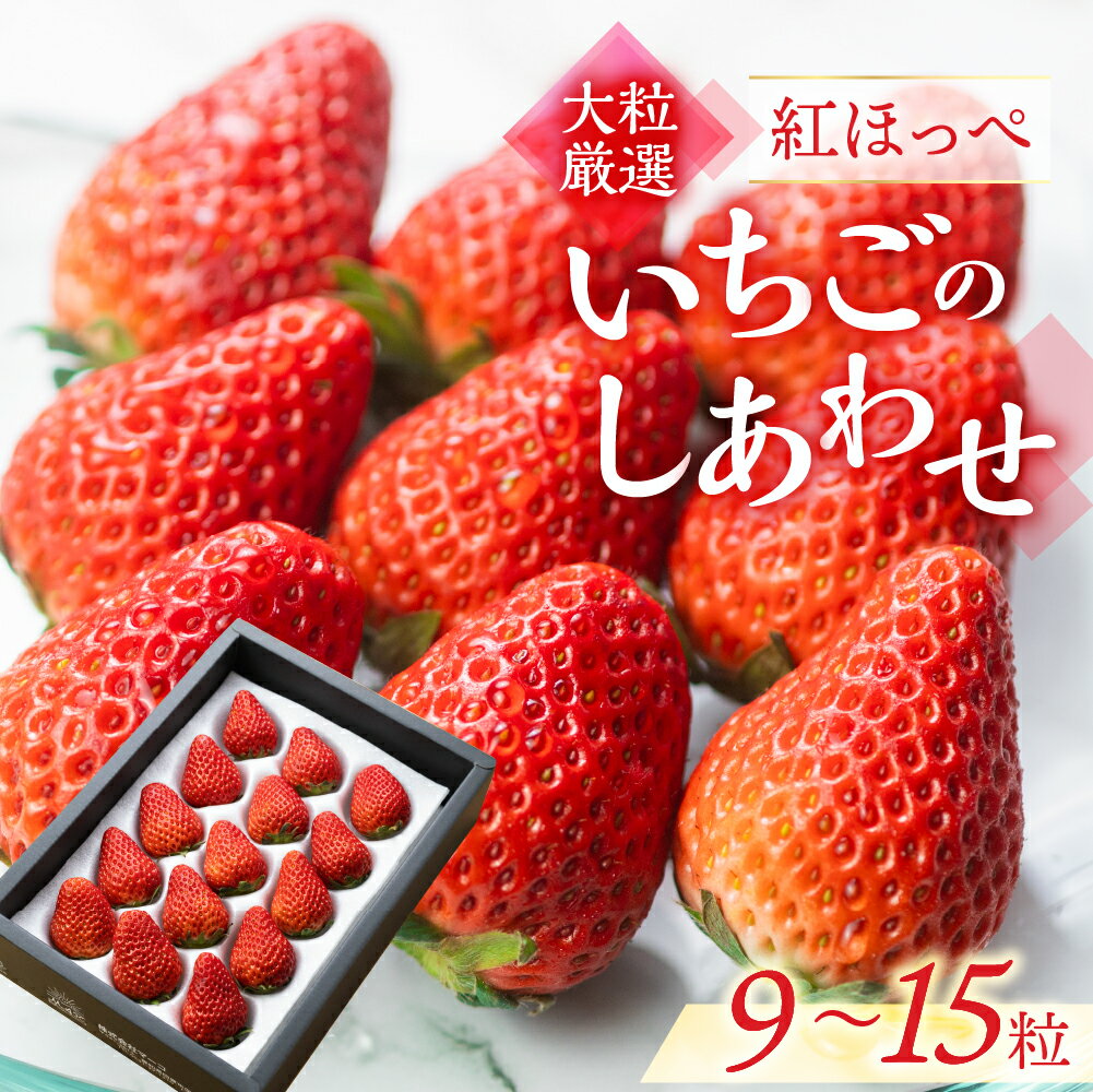 【ふるさと納税】【愛知県・田原産】ブランドいちご『いちごのし