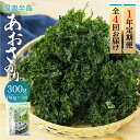 【ふるさと納税】 あおさ 300g 1年 定期便 4回 お届け (100g×3) 愛知県 三河湾産 「はじめまして あおさのり です。」あおさ海苔 海苔 味噌汁...