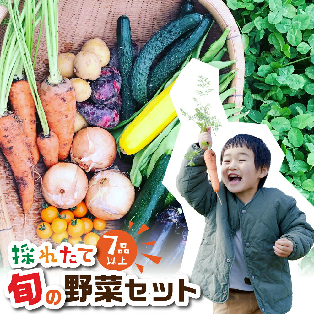 旬の野菜 7品目以上 金賞受賞 旬彩野菜セット 7品目 レシピ付き お届け 国産 新鮮 農薬不使用 化学肥料不使用 産地直送 こだわり野菜 送料無料 1万円 10000円