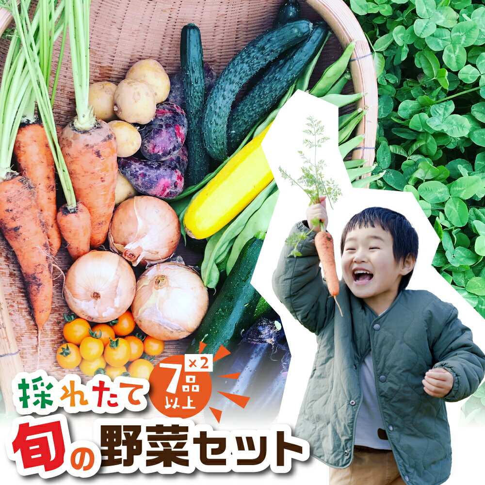 旬の野菜 7品目以上 金賞受賞 旬彩野菜セット 7品目 ×2 レシピ付き お届け 国産 新鮮 農薬不使用 化学肥料不使用 産地直送 こだわり野菜 送料無料 2万円 20000円 20,000円