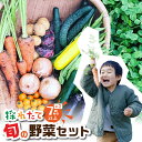 【ふるさと納税】旬の野菜 7品目以上 金賞受賞 旬彩野菜セット 7品目 ×2 レシピ付き お届け 国産 新鮮 農薬不使用 化学肥料不使用 産地直送 こだわり野菜 送料無料 2万円 20000円 20,000円