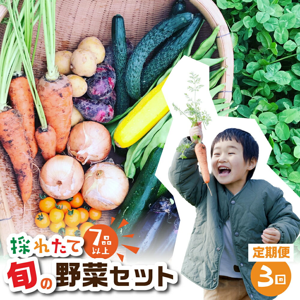 【ふるさと納税】金賞受賞 旬彩野菜セット 3回 定期便 旬の野菜 7品目以上 レシピ付き お届け 国産 新..