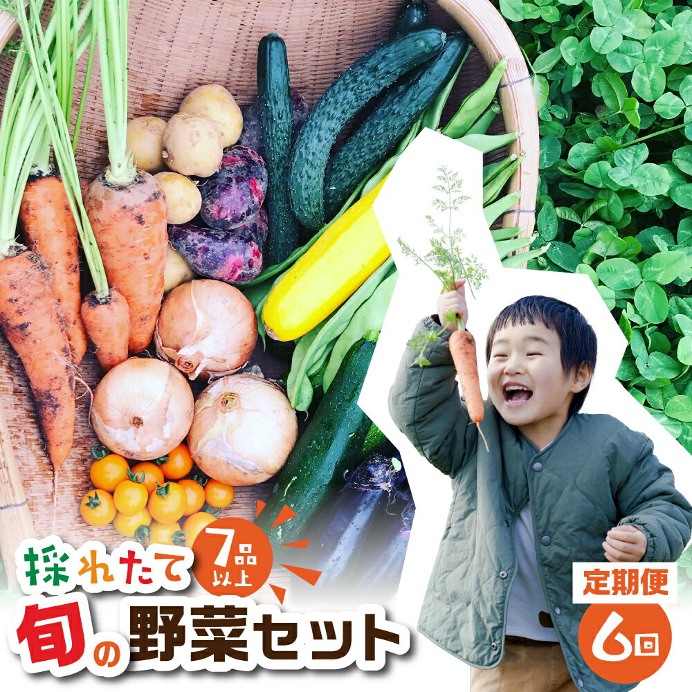 楽天愛知県田原市【ふるさと納税】金賞受賞 旬彩野菜セット 6回 定期便 旬の野菜 7品目以上 レシピ付き お届け 国産 新鮮 農薬不使用 化学肥料不使用 野菜ソムリエ 旬の目利き 高評価 安心 安全 農家直送 直送 産地直送 こだわり野菜 送料無料 6万円 60000円