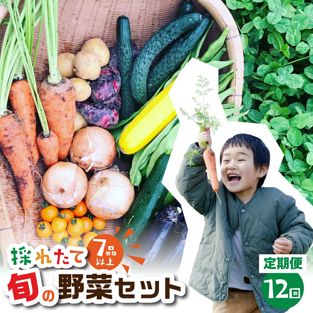 6位! 口コミ数「0件」評価「0」金賞受賞 旬彩野菜セット 12回 定期便 旬の野菜 7品目以上 レシピ付き お届け 国産 新鮮 農薬不使用 化学肥料不使用 野菜ソムリエ 旬･･･ 