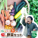 【ふるさと納税】金賞受賞 旬彩野菜セット 12回 定期便 旬の野菜 7品目以上 レシピ付き お届け 国産 新鮮 農薬不使用 化学肥料不使用 野菜ソムリエ 旬の目利き 高評価 安心 安全 農家直送 直送 産地直送 こだわり野菜 送料無料 6万円 60000円