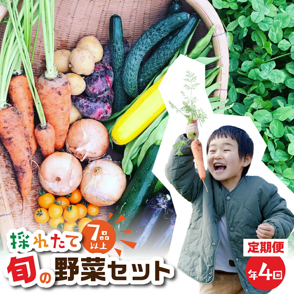 金賞受賞 旬彩野菜セット 4回 定期便 旬の野菜 7品目以上 レシピ付き お届け 国産 新鮮 農薬不使用 化学肥料不使用 野菜ソムリエ 旬の目利き 高評価 安心 安全 農家直送 直送 産地直送 こだわり野菜 送料無料 6万円 60000円