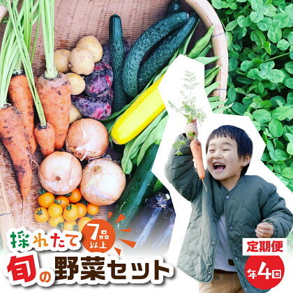 金賞受賞 旬彩野菜セット 4回 定期便 旬の野菜 7品目以上 レシピ付き お届け 国産 新鮮 農薬不使用 化学肥料不使用 野菜ソムリエ 旬の目利き 高評価 安心 安全 農家直送 直送 産地直送 こだわり野菜 送料無料 6万円 60000円