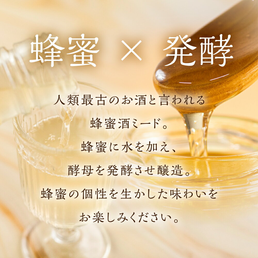 愛知県田原市の画像2