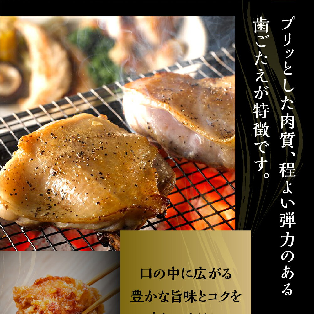 【ふるさと納税】三和 純鶏 名古屋コーチン もも肉 1kg 肉 地鶏 鶏肉 創業明治33年 さんわ 鶏三和 冷蔵配送 とり肉 もも 国産 渥美半島 愛知県 田原市 11000円