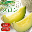 【ふるさと納税】 先行予約 訳ありマスクメロン L~2L 2玉 7月~8月中旬お届け メロン 野菜ソムリエ推薦 数量限定 渥美半島 伊良湖潮風育ち 田原市 ご自宅用 お取り寄せ 産地直送 送料無料 訳あり マスクメロン メロン フルーツ 果物 メロン 糖度 メロン 青肉 農家直送