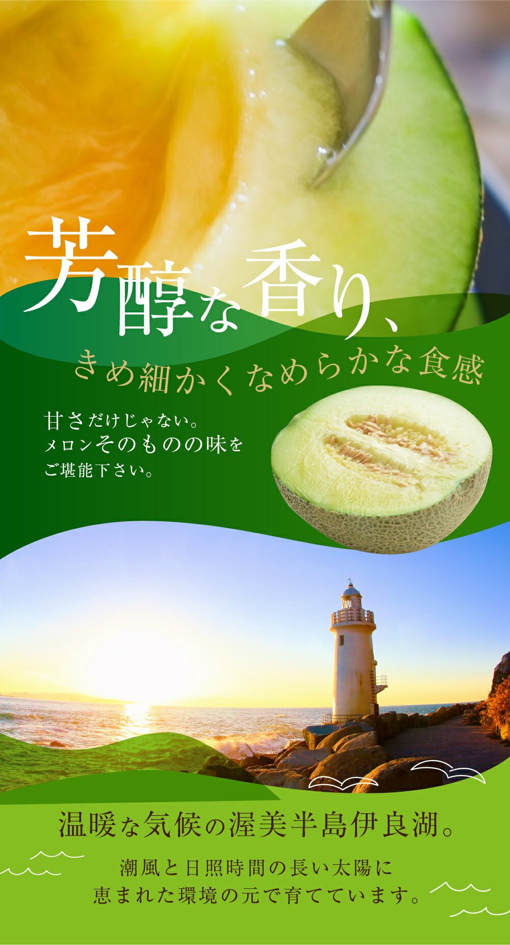 【ふるさと納税】《5月末金額改定》先行予約 マスクメロン 選べる玉数 2玉 3玉 5玉 6玉 2L〜3L サイズ メロン 発送時期が選べる カラーギフト箱入り 大玉 めろん フルーツ 秀品 2024年6月下旬〜8月上旬発送 愛知県 田原市 伊良湖産 渥美半島 ギフト プレゼント 人気