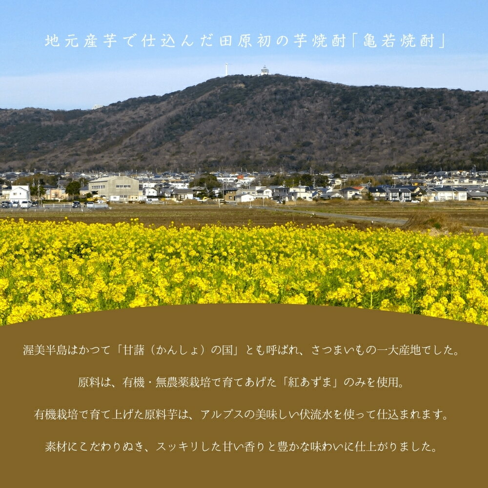 愛知県田原市の画像3