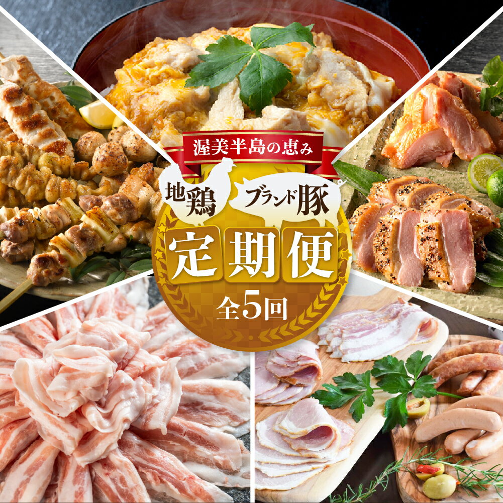 渥美半島の恵み ブランド豚・地鶏 定期便 全5回 ( 名古屋コーチン 親子丼 ブランド豚 ハム ソーセージ 田原ポーク 地鶏 やきとり しゃぶしゃぶ 豚肉 豚 小分け 個包装 食べ比べ 惣菜 5ヶ月 地鶏 ブランド豚 簡単調理 冷凍 冷凍食品 高評価 5万円 50000円