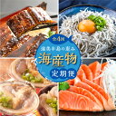 【ふるさと納税】渥美半島の恵み 海産物 定期便 4回 ( うなぎ / しらす / サーモン / 大アサリ ) 海鮮 4ヶ月 魚 鰻 蒲焼 刺身 魚介 丼 ..