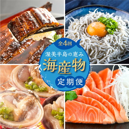 渥美半島の恵み 海産物 定期便 4回 ( うなぎ / しらす / サーモン / 大アサリ ) 海鮮 4ヶ月 魚 鰻 蒲焼 刺身 魚介 丼 お楽しみ 海の幸 渥美プレミアムラスサーモン 幻の青うなぎ 愛知県 田原市 4万円