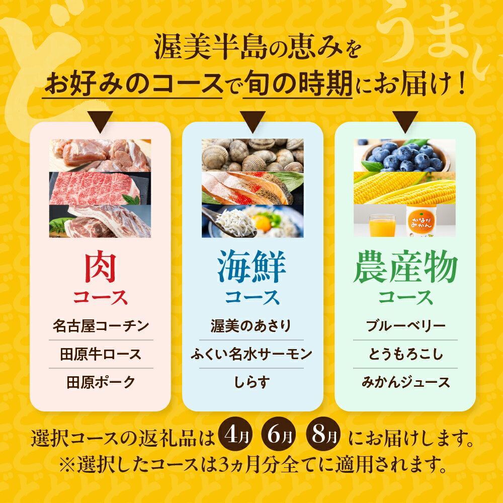 愛知県田原市の画像3