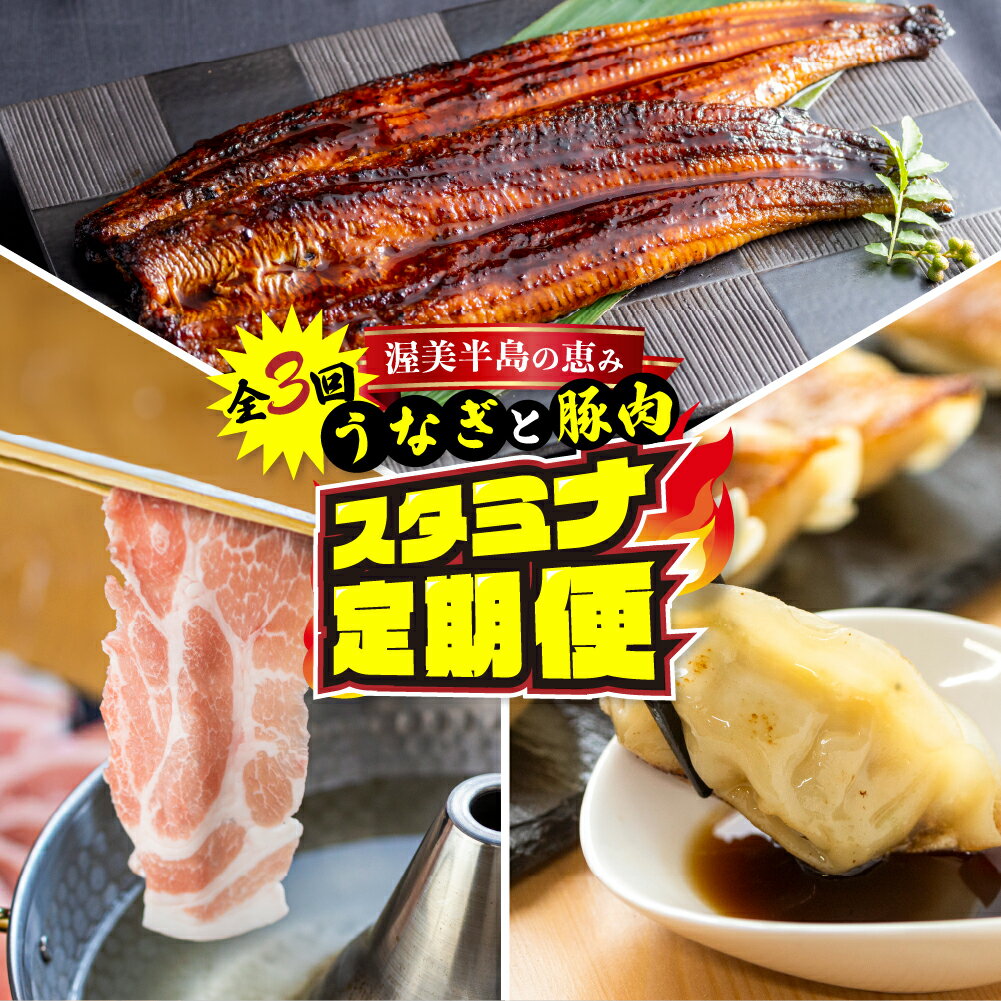 【ふるさと納税】渥美半島の恵み スタミナ 定期便 3回 うなぎ / 豚肉 / 餃子 惣菜 3ヶ月 魚 鰻 ウナギ 蒲焼 豚 ポーク 丼 ブランド お楽しみ 幻の青うなぎ 人気 愛知県 田原市 3万円