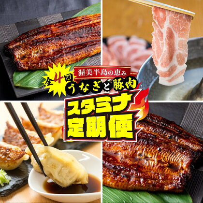 渥美半島の恵み スタミナ 定期便 4回 ( うなぎ / 豚肉 / 餃子 / うなぎ) 惣菜 4ヶ月 魚 鰻 ウナギ 蒲焼 豚 ポーク 丼 ブランド お楽しみ 海の幸 人気 愛知県 田原市 4万円