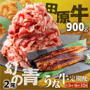 【ふるさと納税】幻の青うなぎ&田原牛 堪能 定期便 うなぎ 国産 牛肉 切り落とし 大容量 選べる 3回 6回 12回 定期 1年 赤身 カルビ 肉 蒲焼 長蒲...