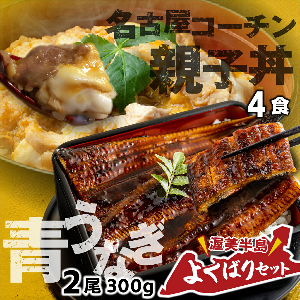 青うなぎ&親子丼 渥美半島よくばりセット 蒲焼き 鰻 ウナギ うなぎ蒲焼 惣菜 幻 簡単調理 おいしい 高評価 ふるさと納税 魚 さかな 魚介 ランキング 名古屋コーチン 鶏肉 おすすめ 送料無料