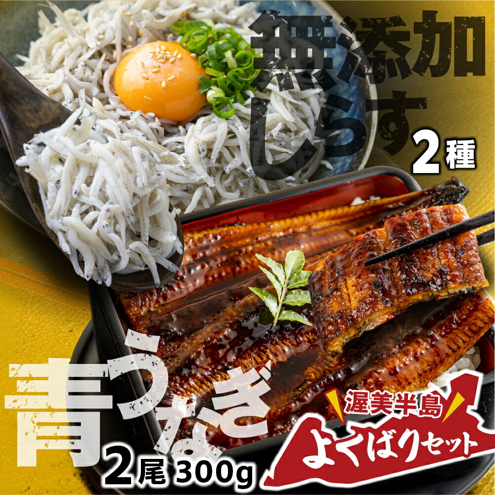 青うなぎ&しらす干し 渥美半島よくばりセット 蒲焼き 鰻 ウナギ うなぎ蒲焼 惣菜 幻 簡単調理 おいしい 高評価 ふるさと納税 魚 さかな 魚介 ランキング しらす シラス おすすめ 送料無料