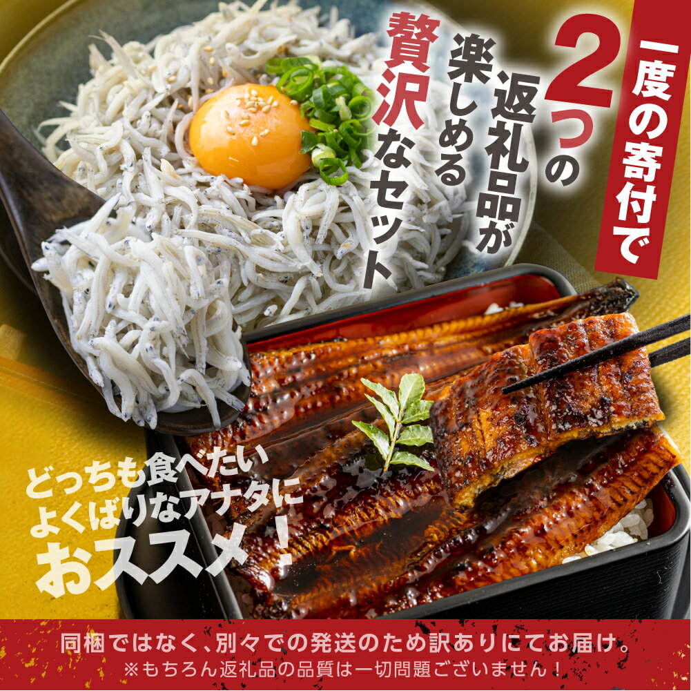 【ふるさと納税】青うなぎ＆しらす干し 渥美半島よくばりセット 蒲焼き 鰻 ウナギ うなぎ蒲焼 惣菜 幻 簡単調理 おいしい 高評価 ふるさと納税 魚 さかな 魚介 ランキング しらす シラス おすすめ 送料無料