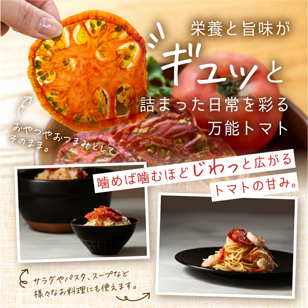 愛知県田原市の画像2