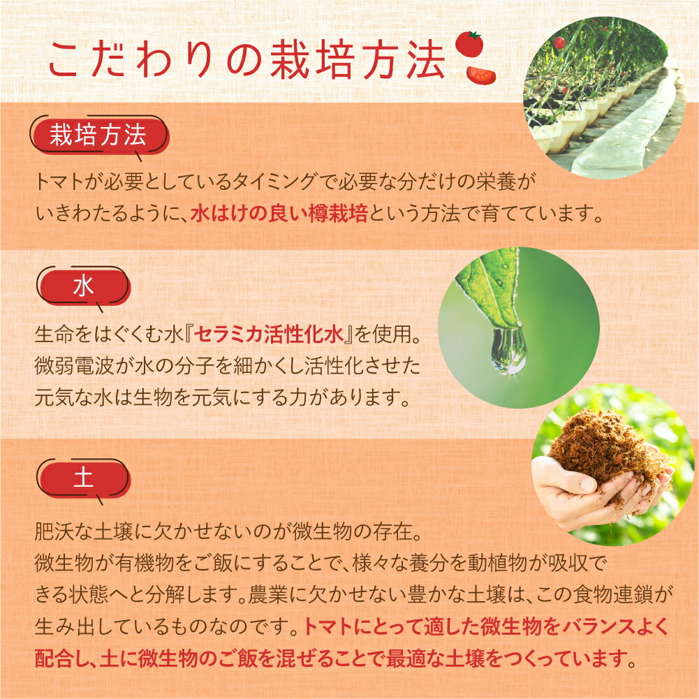 愛知県田原市の画像3