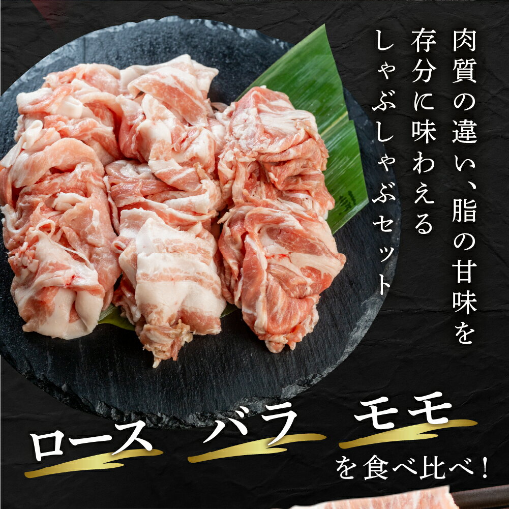 【ふるさと納税】訳あり 国産 豚肉 食べ比べ 800g しゃぶしゃぶ用 ロース バラ 冷凍 瓜生豚 小分け 簡易包装 訳あり ぶた スライス 薄切り 豚しゃぶ 贈り物 ギフト お取り寄せ お取り寄せグルメ 食品 送料無料 産地直送 冷凍 瓜生 10,000円 1万円