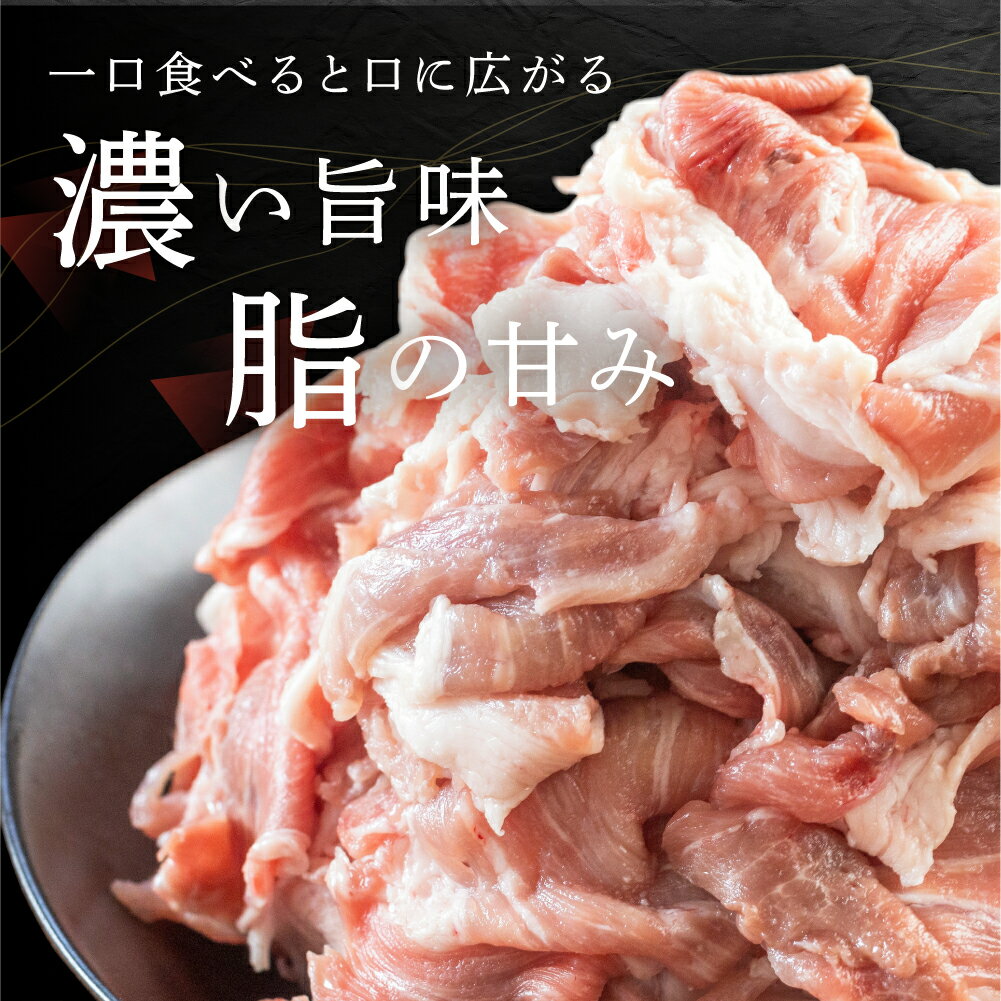 【ふるさと納税】訳あり 国産 豚肉 切り落とし 1.3kg 豚小間 しゃぶしゃぶ ロース すきやき バラ 冷凍 瓜生豚 小分け 簡易包装 訳あり ぶた スライス 薄切り 豚しゃぶ 贈り物 ギフト お取り寄せ お取り寄せグルメ 食品 送料無料 産地直送 冷凍 瓜生 10,000円 1万円