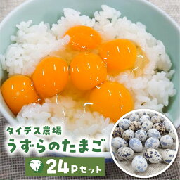 【ふるさと納税】田原市産 うずらの卵 10玉入り×24パック タイデスうずら 鶉 ウズラ たまご 240個 クウェールコスモス 愛知県 田原市 国産 渥美半島 16000円