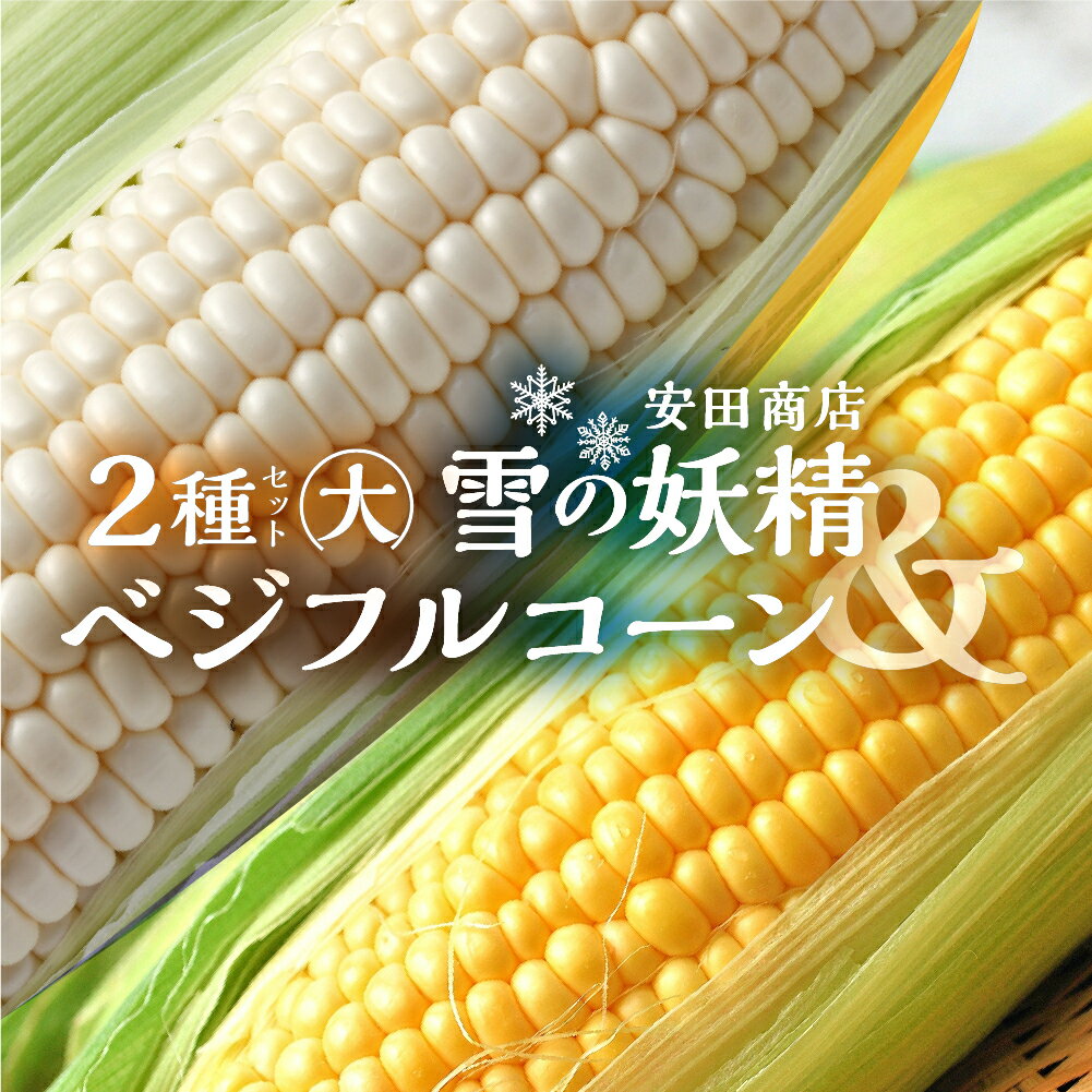 【ふるさと納税】先行予約 安田商店 朝採り とうもろこし　(ホワイト、イエロー詰合せ(大)) とうもろこし 大粒 人気 朝採り 産地直送 甘い 送料無料 数量限定 採れたて お取り寄せ トウモロコシ コーン 19000円