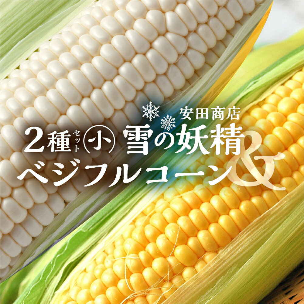 【ふるさと納税】安田商店の朝採りとうもろこし(ホワイト、イエロー詰合せ(小)) とうもろこし 大粒 人気 朝採り 産地直送 甘い 送料無料 数量限定 先行予約 朝採り お取り寄せ トウモロコシ コーン 10000円