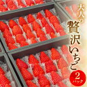 【ふるさと納税】安田農園大人の贅沢いちご 2パック×1 イチゴ 2024年1月～発送開始 いちご 苺 果物 くだもの 激甘 フルーツ 贅沢品 贈答品 高級品 ブランド お取り寄せ 激甘 田原市 産地直送 送料無料 事前予約 安田農園