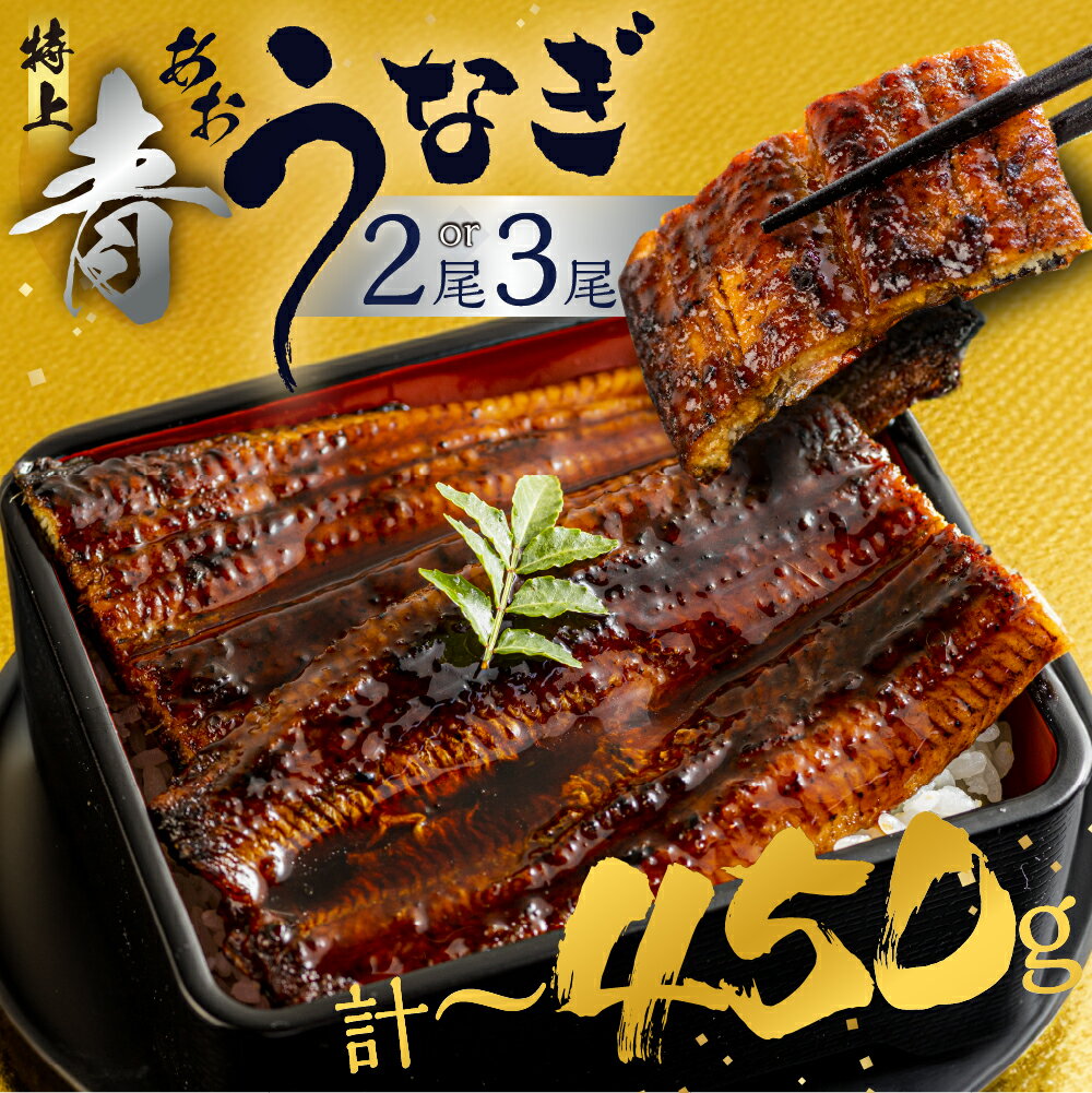 【ふるさと納税】幻の青うなぎ 蒲焼 2尾 3尾 発送時期が選べる 300g ~ 450g 厳選 青鰻 ウナギ 鰻 蒲焼き 最高級 長蒲焼 特大サイズ 土用丑の日 うなぎ ひつまぶし 冷凍 丑の日 惣菜 unagi 送料無料 10000円 15000円 1万円