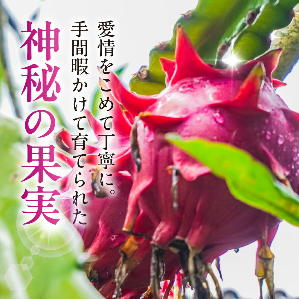 愛知県田原市の画像2