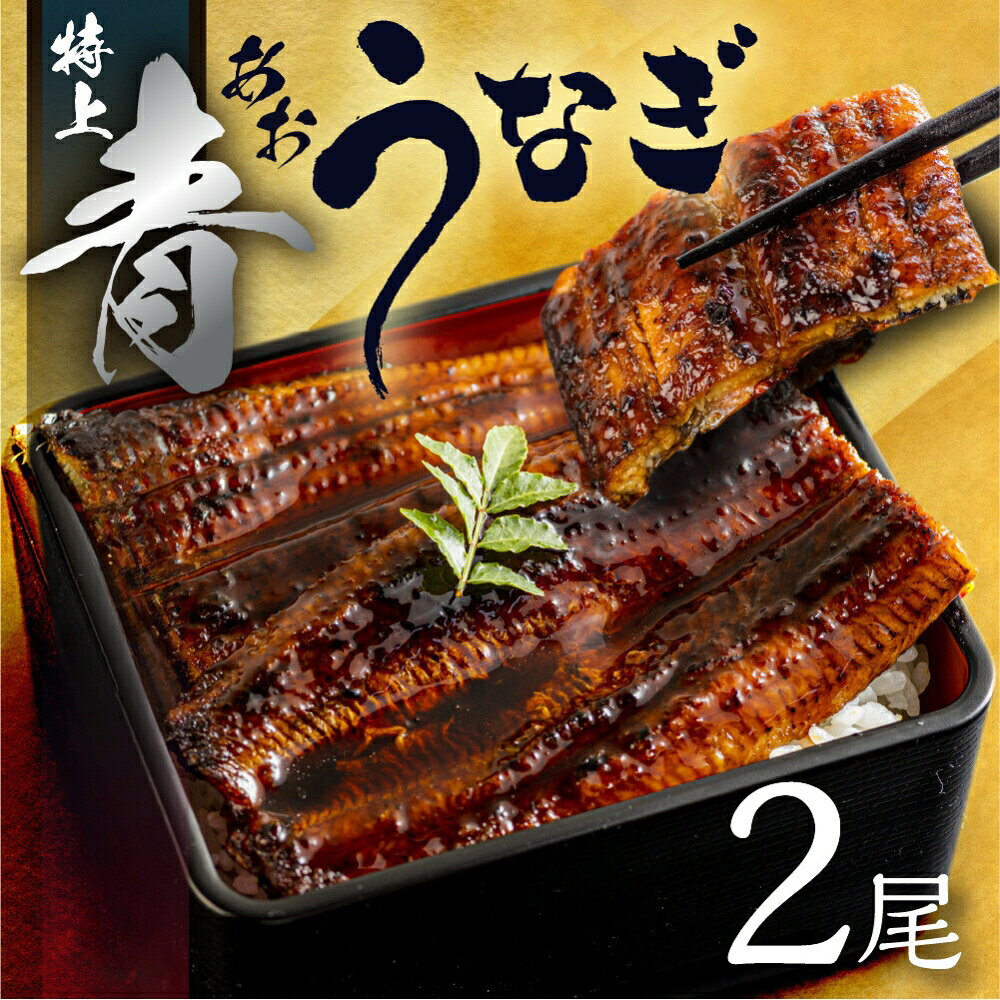 【ふるさと納税】渥美半島　うな鶏 定期便　3回 6回 12回 お届け　青うなぎ 田原ポーク 名古屋コーチン　蒲焼き 焼き鳥 豚肉 肉 渥美半島 田原市 お取り寄せ 産地直送 送料無料 どうまい f232319-tahara-10000641 愛知県田原市 サンプル画像3