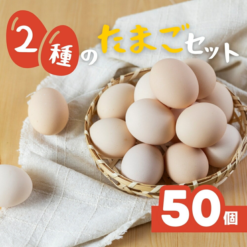 【ふるさと納税】希少な2種のたまごセット 50個 割れ保証付き 卵 たまご 鶏卵 50 お楽しみ 1