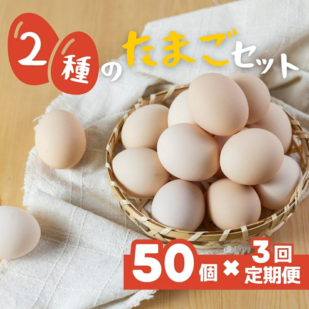 希少な2種のたまごセット 50個 3ヶ月定期便 割れ保証付き 卵 たまご 鶏卵 50 お楽しみ 定期便 3回 3か月 3カ月