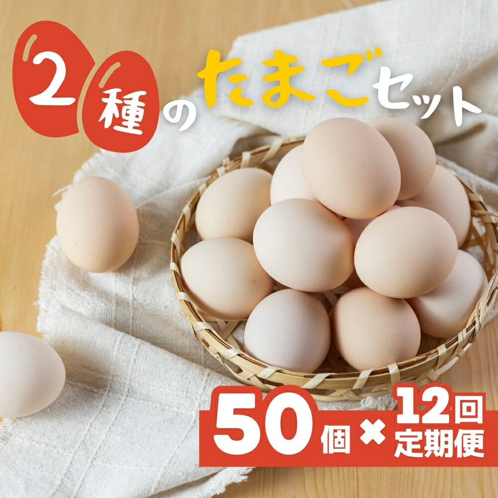 5位! 口コミ数「0件」評価「0」希少な2種のたまごセット 50個 12ヶ月定期便 割れ保証付き 卵 たまご 鶏卵 50 お楽しみ 定期便 12回 12か月 12カ月 1年