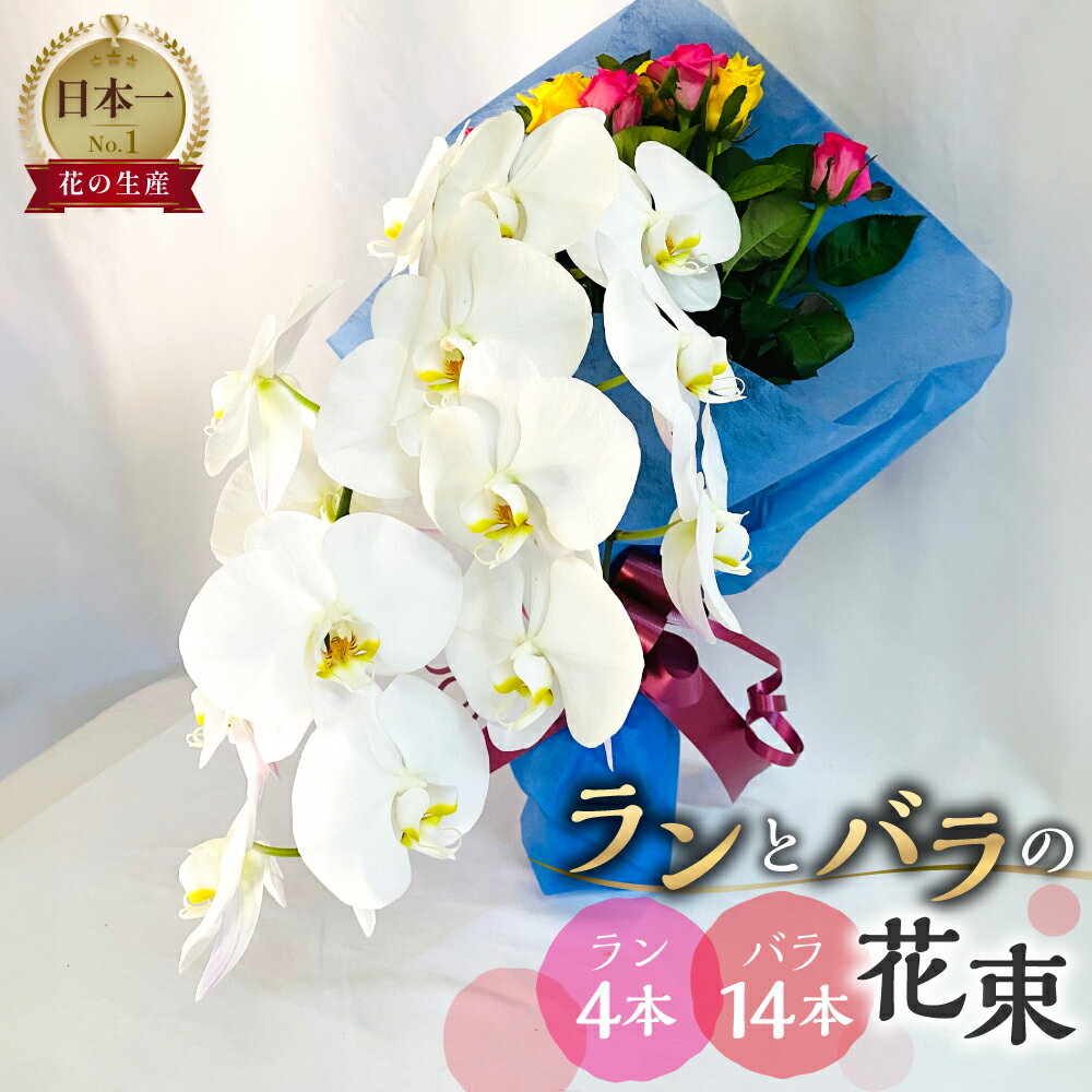 【ふるさと納税】ランとバラの花束 ラン4本 バラ 14本 色が選べる カラー 花束 薔薇 胡蝶蘭 花束 生花 ギフト プレゼント 日時指定可 愛知県 田原市 40000円 4万円